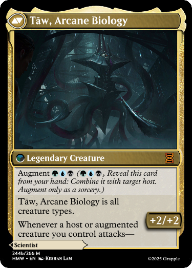 /sets\HMW-files\img\244_Archaeobiologist_front.png